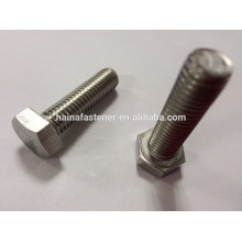 grade a4-70 stainless steel hex head bolt, hex bolt